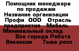 Помощник менеджера по продажам › Название организации ­ Профи, ООО › Отрасль предприятия ­ Мебель › Минимальный оклад ­ 60 000 - Все города Работа » Вакансии   . Тыва респ.